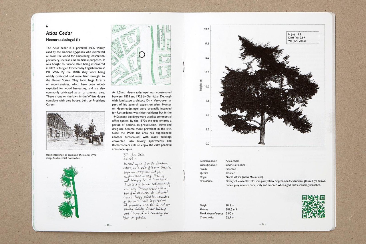 Your (tree) guide to Rotterdam