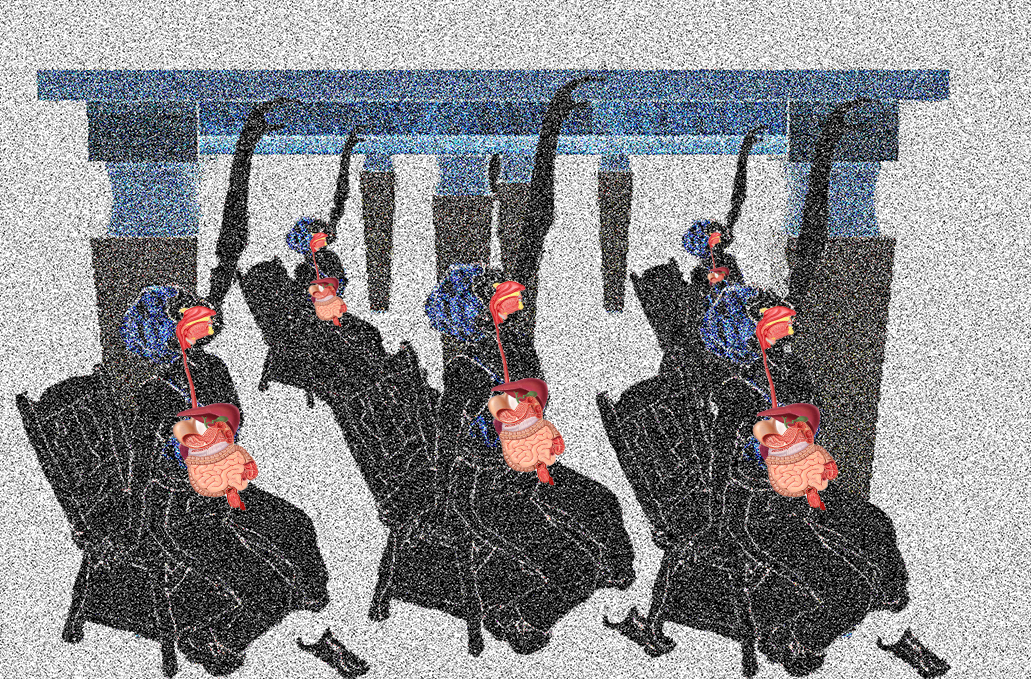 Famine and Hunger Strikes: Decolonizing the Digestive System