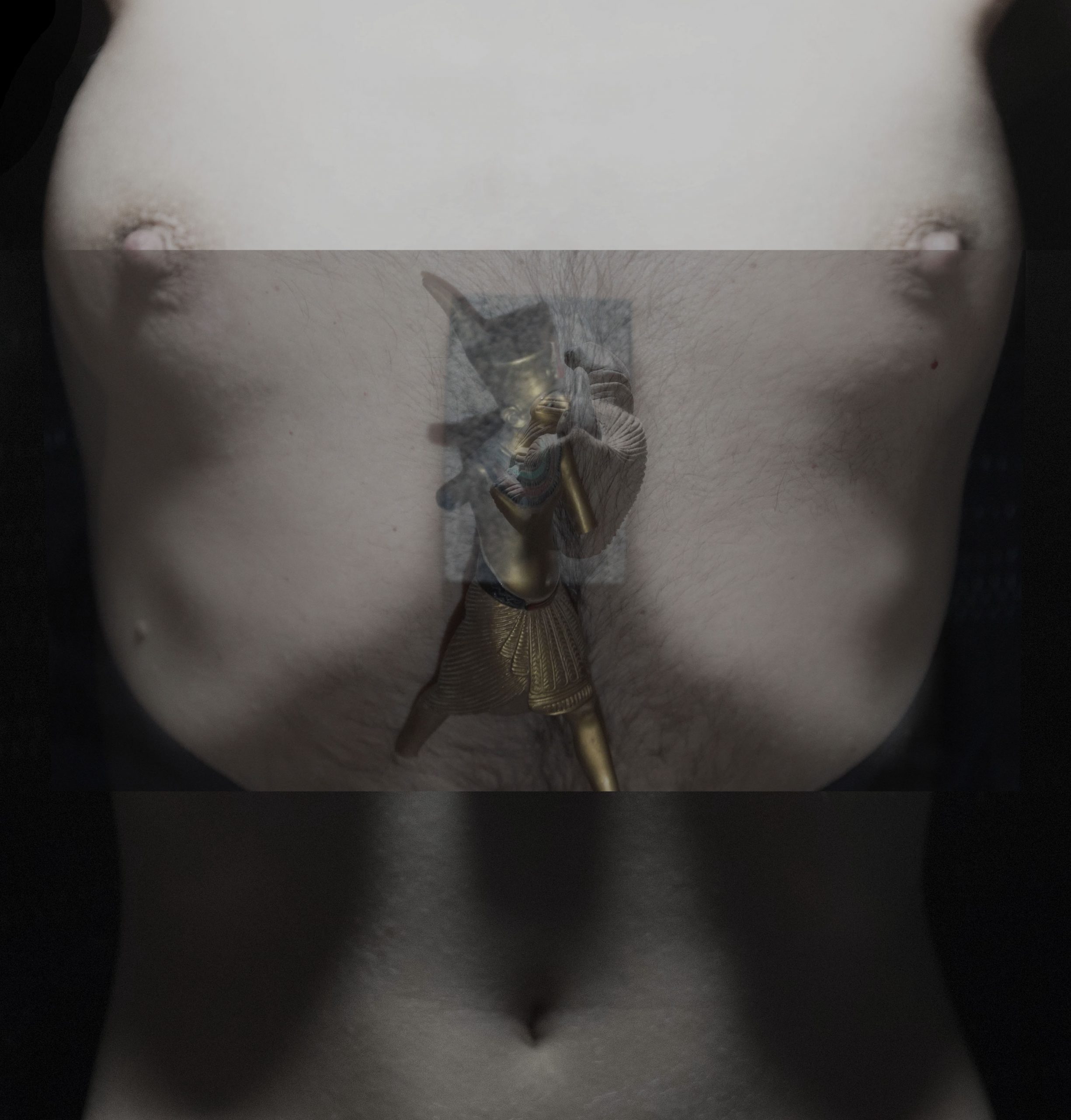 Altered Voices (working title)
