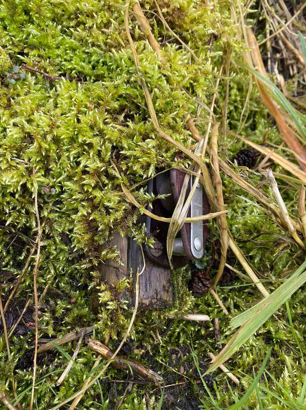 Toxic ground and the social body; Soil as memory, metaphor and metabolism.