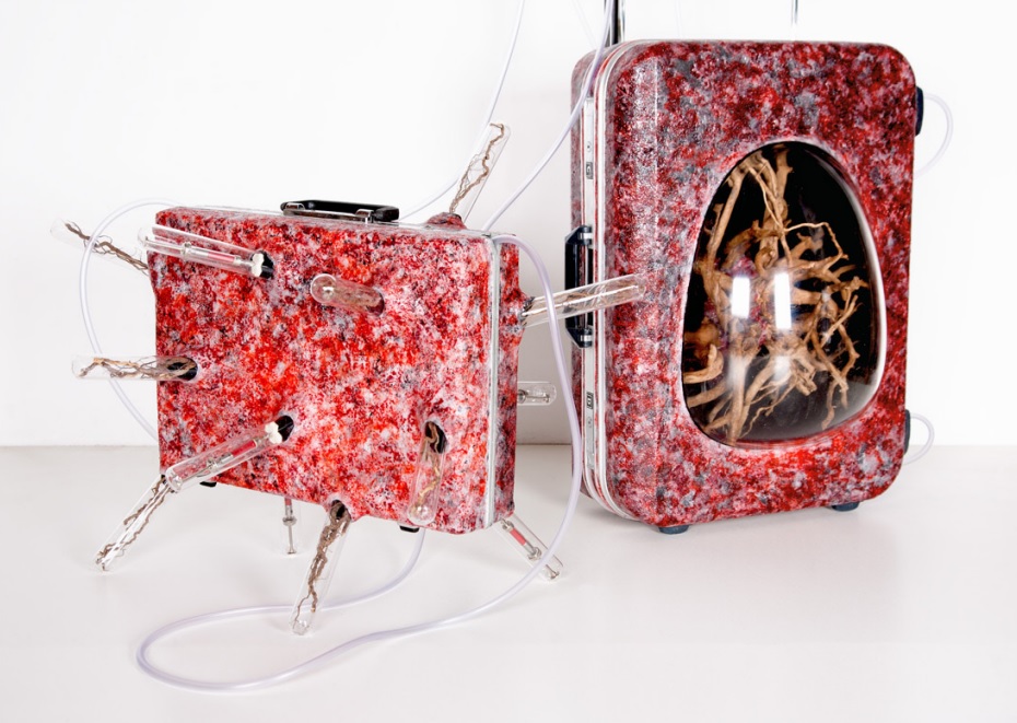 Packaging, Shell and Luggage of Life