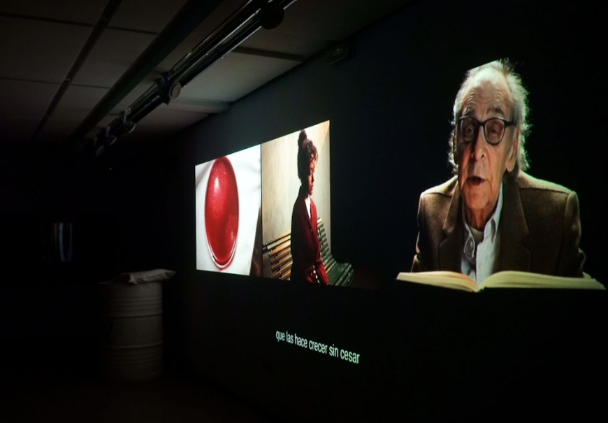 Life Eternal bij Proyector