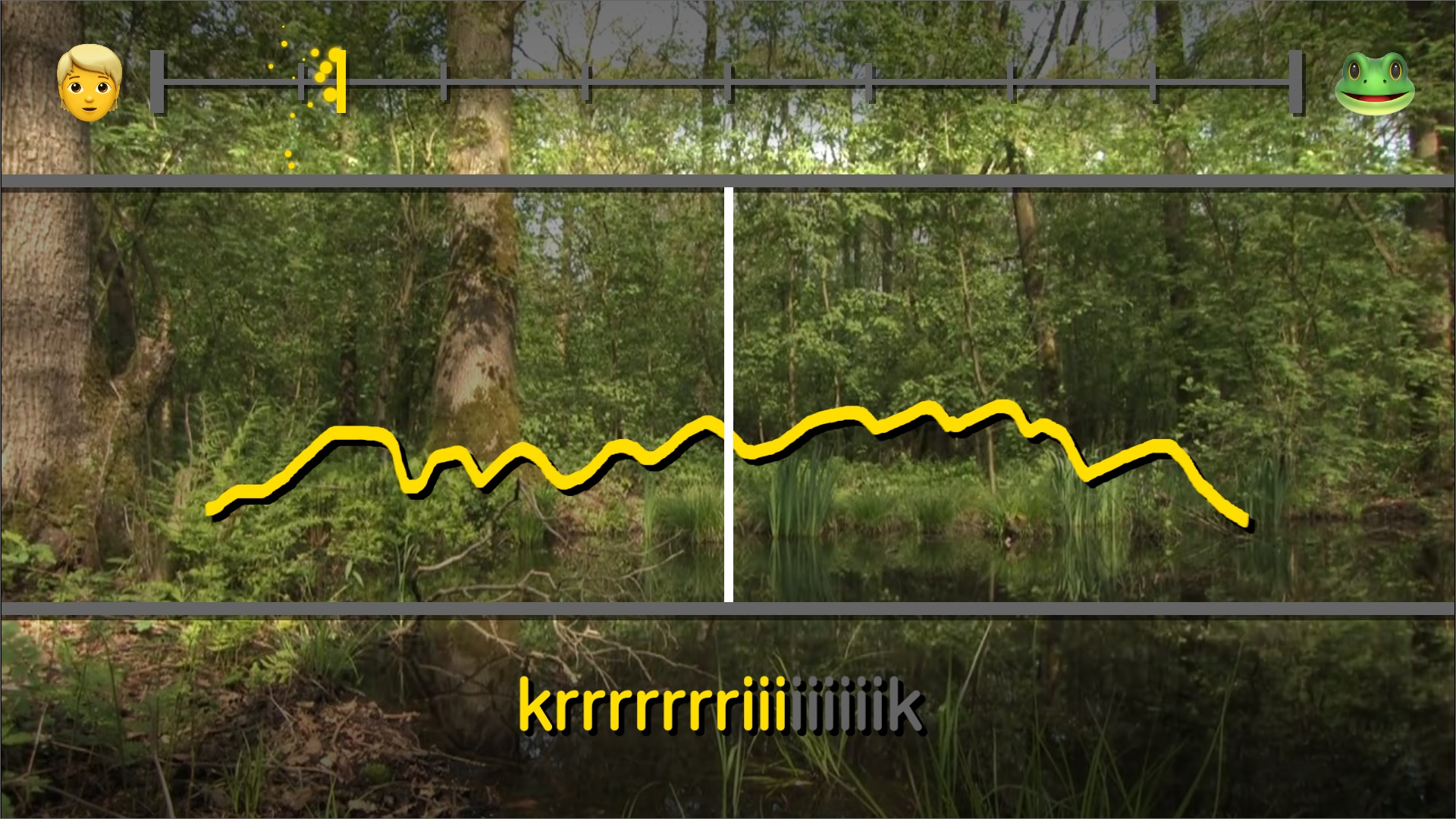 Multispecies Karaoke - Extratonal Infrastructure: Sound Beyond The Human/Animal Dichotomy