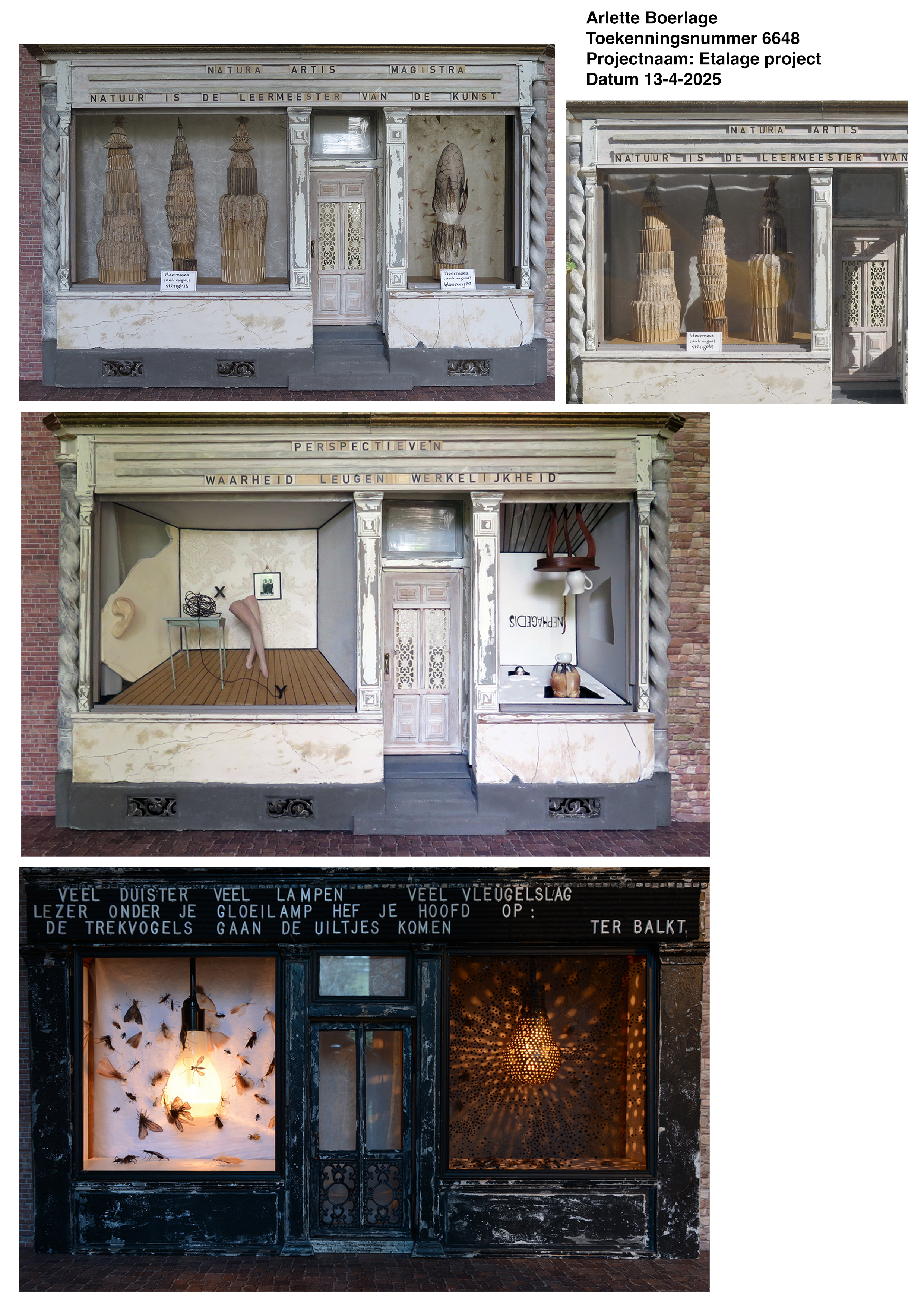 Etalage project