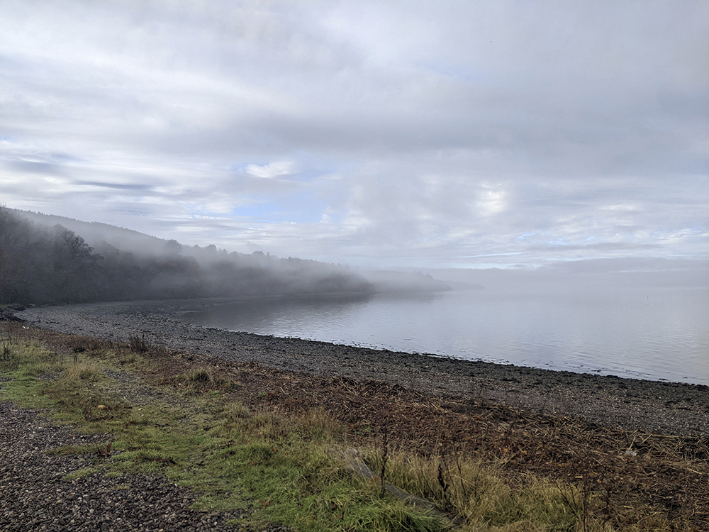 Between Tides – Fluid Kinships