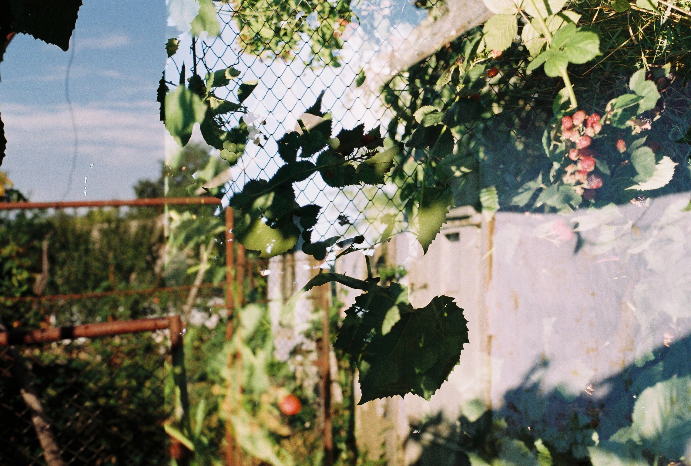 Facilitating Writing Spaces for Queer Ruralities