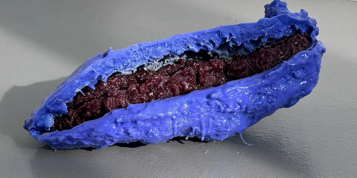 Life Potential 2 - Arti Et Amicitae,